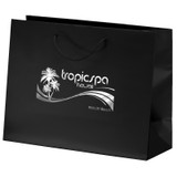 Matte Laminated Euro Logo Shopping Bag - 13