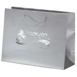 Matte Laminated Euro Logo Shopping Bag - 13