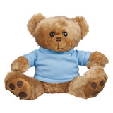 Plush Bear Stuffed Animal w/ Custom Shirt - 8.5