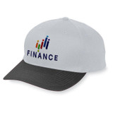 883953-Silver / Black