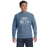 Comfort Colors Custom Logo Crewneck Sweatshirt
