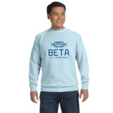 Comfort Colors Custom Logo Crewneck Sweatshirt - view 3