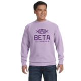 Comfort Colors Custom Logo Crewneck Sweatshirt - view 6