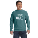 Comfort Colors Custom Logo Crewneck Sweatshirt - view 12