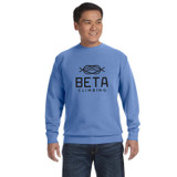 Comfort Colors Custom Logo Crewneck Sweatshirt - view 14