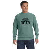 Comfort Colors Custom Logo Crewneck Sweatshirt - view 18