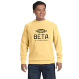 Comfort Colors Custom Logo Crewneck Sweatshirt - view 4