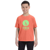 Comfort Colors Garment Dyed Custom T-Shirts - Youth - view 20