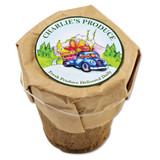 10006992-Gray