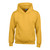 Gildan® Pullover Hooded Custom Sweatshirt - Youth - Colors - thumbnail 13
