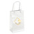 Glossy Laminated Custom Shopping Bag - 5.25