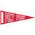 Colored Felt Logo Pennant w/ Stripe - 10"w x 4"h