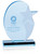 Stellar Custom Acrylic Award