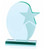 Stellar Custom Acrylic Award - thumbnail 4