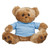 Plush Bear Stuffed Animal w/ Custom Shirt - 8.5
