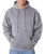 8839830-DarkAsh-2XL