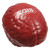 Brain Shaped Custom Stress Balls - thumbnail 4