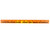 Color Changing Wooden Promotional Rulers - 12