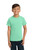 Comfort Colors Garment Dyed Custom T-Shirts - Youth - thumbnail 34