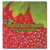 Fabric Surface Promotional Mouse Pad - 7.5
