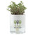 Self-Watering Ceramic Promotional Planter Set