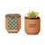 Modern Sprout Terracotta Custom Grow Kit - Good Luck Clover - thumbnail 1