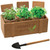Think Green Terzetto Blossom Custom Planter Set