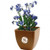 Bamboo Planter Blossom Promo Kit - thumbnail 1