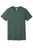 10012324-Pine-2XL
