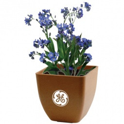 Bamboo Planter Blossom Promo Kit