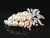 DIAMOND & PEARL 14K WHITE GOLD BROOCH