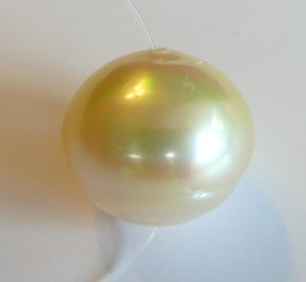 Golden South Sea Pearl 258