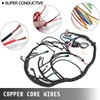 1999-2003 4.8 5.3 6.0 PSI Standalone Wiring Harness w/T56(DBC)