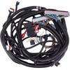 97-02 DBC LS1 LS6 Standalone Wiring Harness for 1997-2002 LS-LSX Engines with RPO Code LS1 LS6 4L60E Transmission