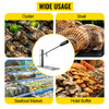 Stainless Steel Oyster Shucker Tool Set, Clam Opener Machine with G-Clip for Easy Operation, Solid Option for Hotel Buffets or Gift