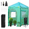 Greenhouse Portable Walk-in Hot Green House Tent 6' x 4' x 8' Plant Garden