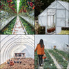 Greenhouse Film 15 x 40 ft, Greenhouse Polyethylene Film 6 Mil Thickness, Greenhouse Plastic Greenhouse Clear Plastic Film UV Resistant, Polyethylene