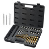 48-Piece Bolt Extractor Screw Extractor Set, with 13 PCS Bolt Extractor Set, 19 PCS Screw Extractors, 16 PCS Reverse HSS Drill Bits, Storage Case, for Removing Damaged Bolts, Screws, and Nuts