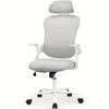 Ergonomic High Back Mesh Chair with Adjustable Headrest, Flip-up Armrests And Lumbar Support-Stainless Steel Frame, Comfortable Padded Seat On 5 Wheels for Easy Mobility-Ideal for Lab Workers Gray Color