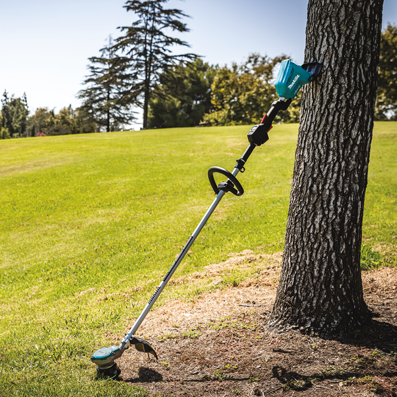 36V (18V X2) LXT? Brushless String Trimmer, Tool Only,  Automatic Torque Drive, XRU15Z