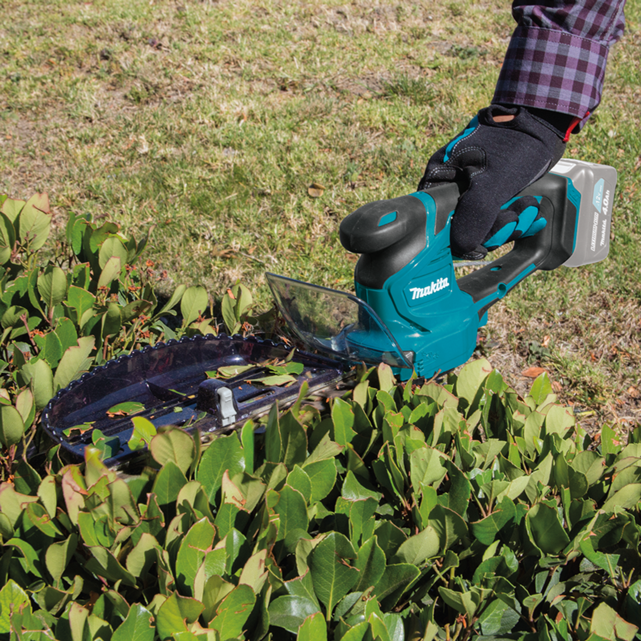 12V max CXT? Lithium-Ion Cordless Hedge Trimmer, Tool Only, Convenient blade changing system, HU06Z