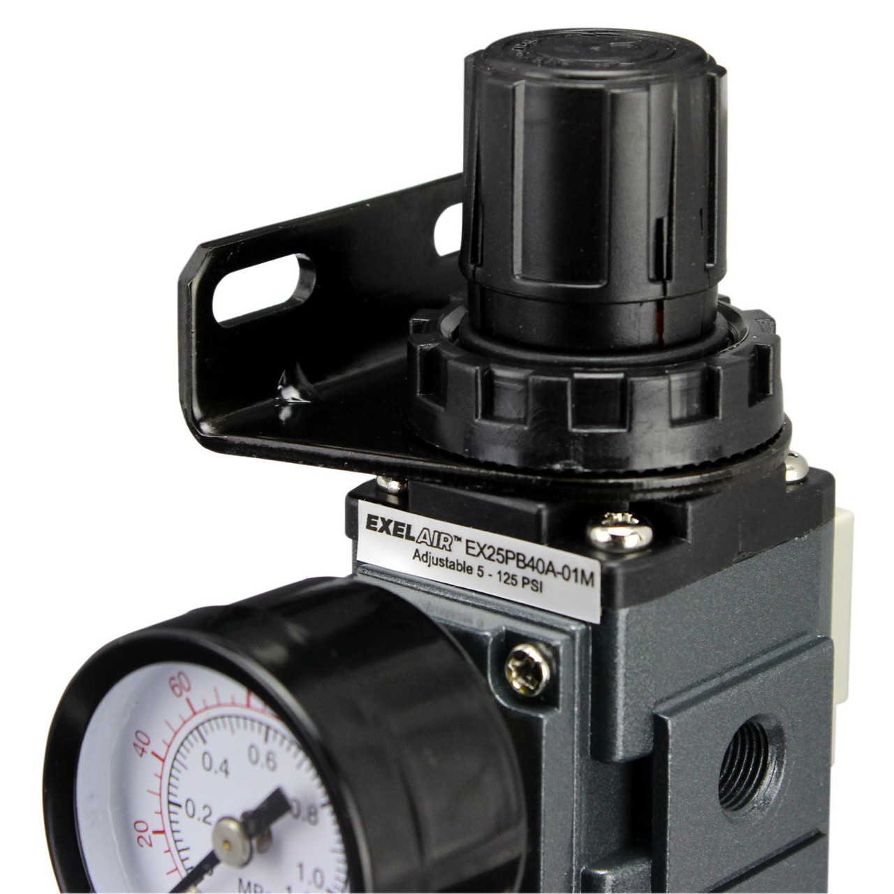 Filtro Aria EXELAIR EX45F40A-04M Milton: 1/2 NPT, Ciotola Metallica E Drenaggio Automatico