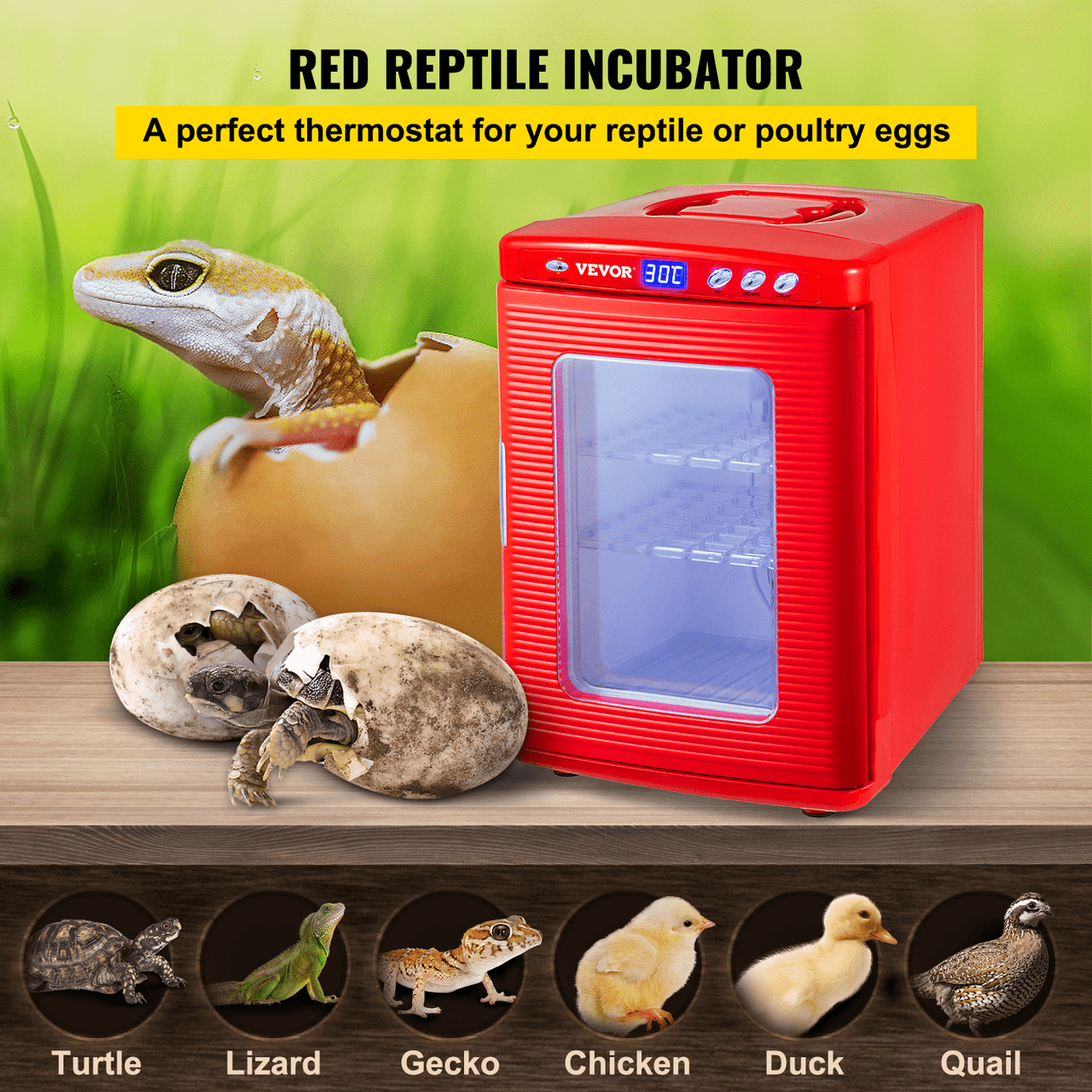 Red Reptile Incubator 25L Scientific Lab Incubator Digital Incubator Cooling and Heating 5-60øC Reptile Egg Incubator 12V/110V Work for Small Reptiles