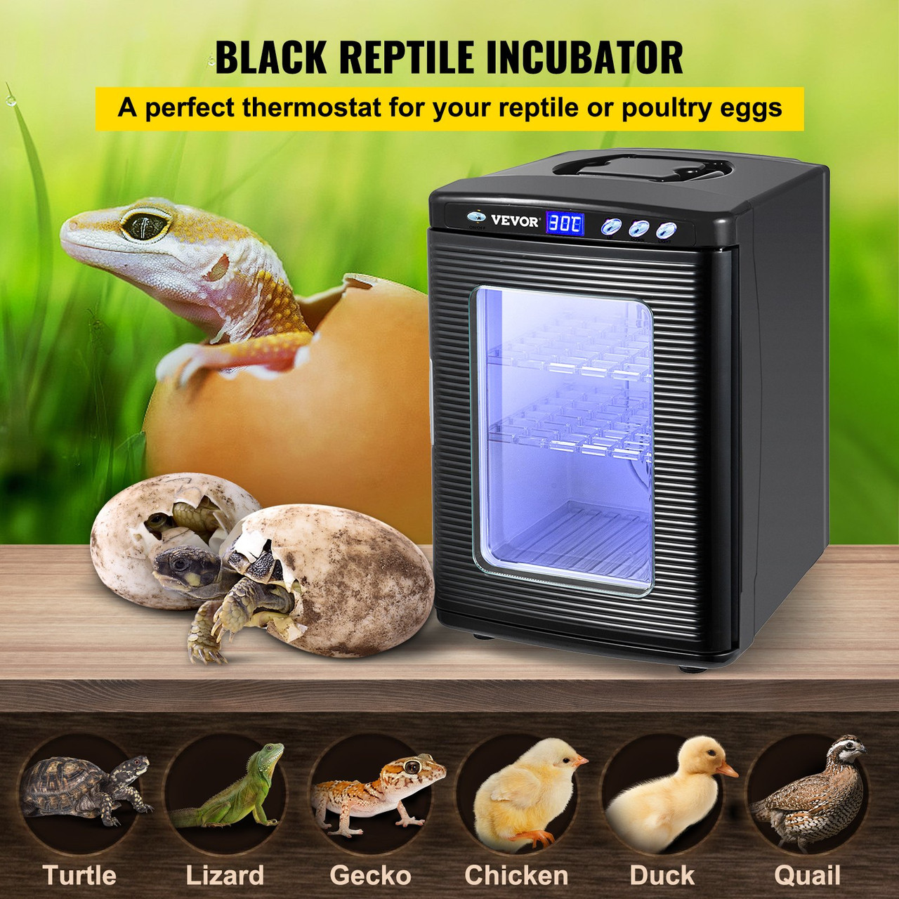 Black Reptile Incubator 25L Scientific Lab Incubator Digital Incubator Cooling and Heating 5-60øC Reptile Egg Incubator 12V/110V Work for Small Reptiles