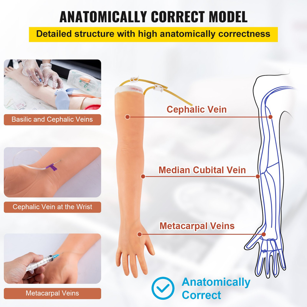 VEVOR Phlebotomy Practice Kit, Dark Skin IV Practice Kit Venipuncture  Learning Phlebotomy Practice Arm Kit with Infusion Stand for Nurse, Medical  Students