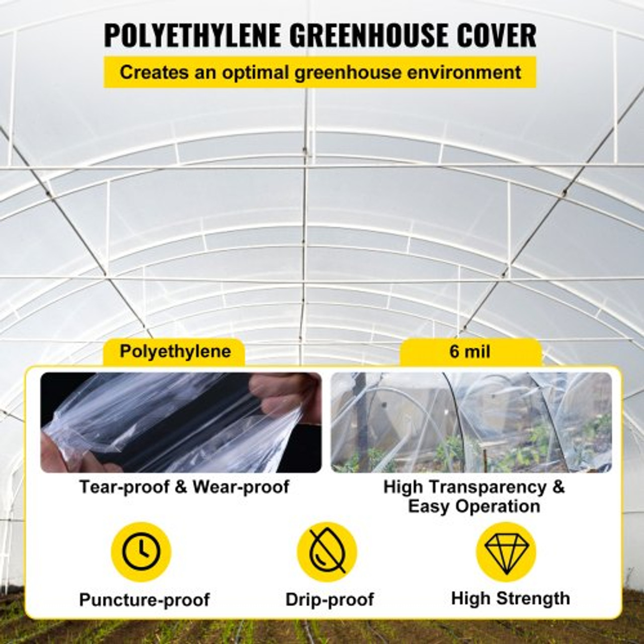 Greenhouse Plastic  Buy Clear UV Resistant 6 Mil Greenhouse Film