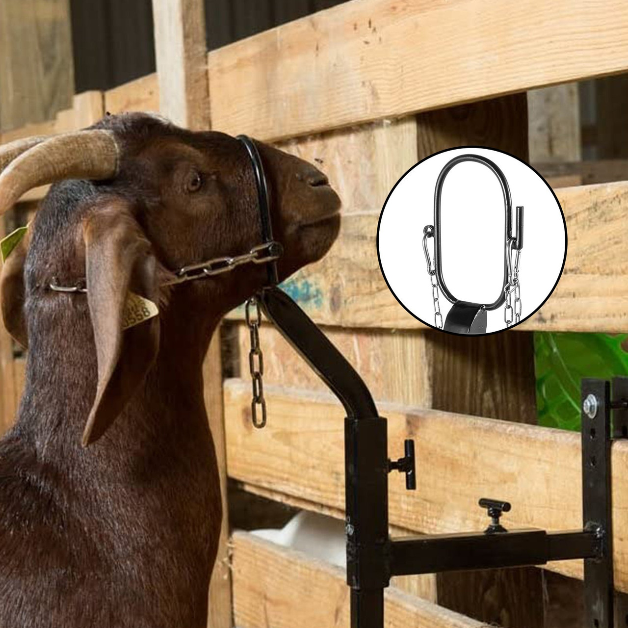 Livestock Stand Steel Gate Attachment Nose Loop Headpiece, 9.8inch Height and Trimming Stand 5.9inch Length Adjustable, Nose Loop Goat Trimming Stands, Sheep Shearing Stand, for Sheep & Goats