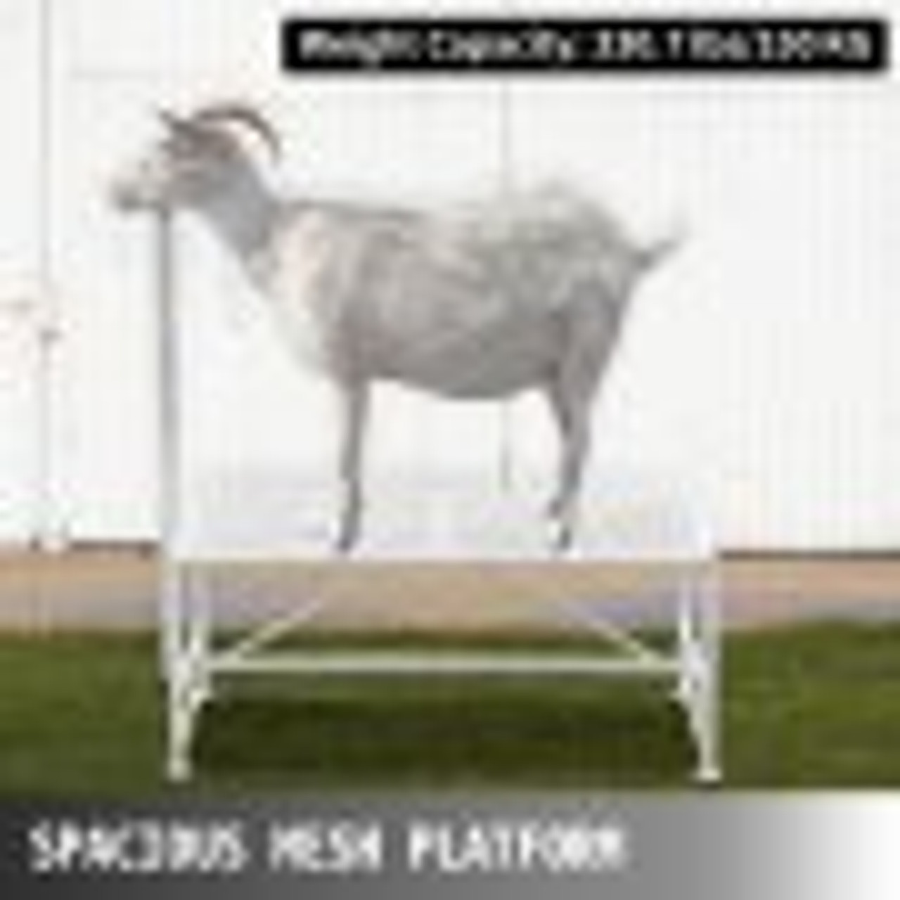 Livestock Stand 51x23 inches, Trimming Stand with Straight Head Piece, Goat Trimming Stand Metal Frame Sheep Shearing Stand Livestock Trimming Stands