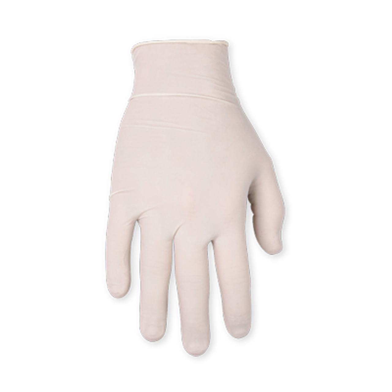 Latex Disposable Gloves 100 pk Large Powdered