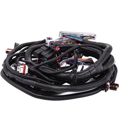 97-02 DBC LS1 LS6 Standalone Wiring Harness for 1997-2002 LS-LSX Engines with RPO Code LS1 LS6 4L60E Transmission 97-02 DBC LS1 LS6 Standalone Wiring Harness for 1997-2002 LS-LSX Engines with RPO Code LS1 LS6 4L60E Transmission